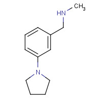 828242-07-5 N-methyl-1-(3-pyrrolidin-1-ylphenyl)methanamine chemical structure