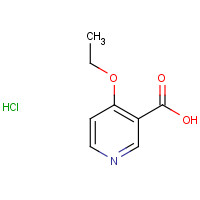 10177-33-0 4-ethoxypyridine-3-carboxylic acid;hydrochloride chemical structure