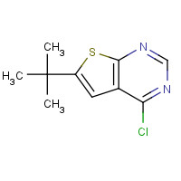 439692-55-4 6-tert-butyl-4-chlorothieno[2,3-d]pyrimidine chemical structure