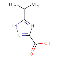 944906-51-8 5-propan-2-yl-1H-1,2,4-triazole-3-carboxylic acid chemical structure