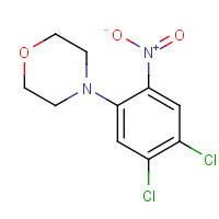 59504-38-0 4-(4,5-dichloro-2-nitrophenyl)morpholine chemical structure