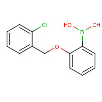 870777-21-2 [2-[(2-chlorophenyl)methoxy]phenyl]boronic acid chemical structure