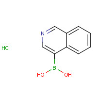 677702-23-7 isoquinolin-4-ylboronic acid;hydrochloride chemical structure