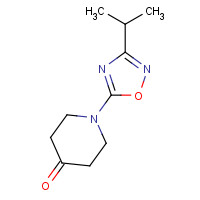 1196486-80-2 1-(3-propan-2-yl-1,2,4-oxadiazol-5-yl)piperidin-4-one chemical structure
