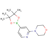 888721-86-6 4-[4-(4,4,5,5-tetramethyl-1,3,2-dioxaborolan-2-yl)pyridin-2-yl]morpholine chemical structure