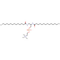 108861-07-0 2,3-bis(tetradecanoylamino)propyl 2-(trimethylazaniumyl)ethyl phosphate chemical structure