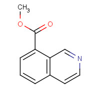 850858-56-9 methyl isoquinoline-8-carboxylate chemical structure