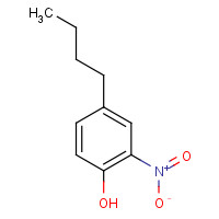 52899-59-9 4-butyl-2-nitrophenol chemical structure