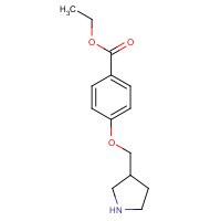 908288-80-2 ethyl 4-(pyrrolidin-3-ylmethoxy)benzoate chemical structure
