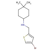 1007579-10-3 N-[(4-bromothiophen-2-yl)methyl]-4,4-dimethylcyclohexan-1-amine chemical structure