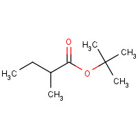 16537-12-5 tert-butyl 2-methylbutanoate chemical structure