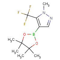 1353003-51-6 1-methyl-4-(4,4,5,5-tetramethyl-1,3,2-dioxaborolan-2-yl)-5-(trifluoromethyl)pyrazole chemical structure