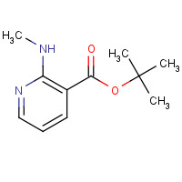 338990-70-8 tert-butyl 2-(methylamino)pyridine-3-carboxylate chemical structure