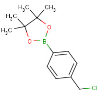 1072945-04-0 2-[4-(chloromethyl)phenyl]-4,4,5,5-tetramethyl-1,3,2-dioxaborolane chemical structure