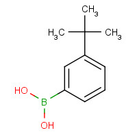 560132-24-3 (3-tert-butylphenyl)boronic acid chemical structure