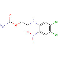13260-65-6 2-(4,5-dichloro-2-nitroanilino)ethyl carbamate chemical structure
