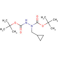 1217414-36-2 tert-butyl N-(cyclopropylmethyl)-N-[(2-methylpropan-2-yl)oxycarbonylamino]carbamate chemical structure
