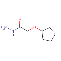 1239311-07-9 2-cyclopentyloxyacetohydrazide chemical structure