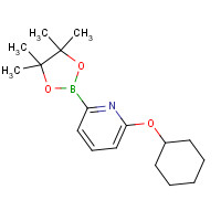 1310383-05-1 2-cyclohexyloxy-6-(4,4,5,5-tetramethyl-1,3,2-dioxaborolan-2-yl)pyridine chemical structure