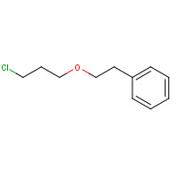 286440-98-0 2-(3-chloropropoxy)ethylbenzene chemical structure