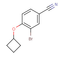 1065640-60-9 3-bromo-4-cyclobutyloxybenzonitrile chemical structure