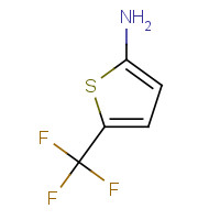681444-96-2 5-(trifluoromethyl)thiophen-2-amine chemical structure