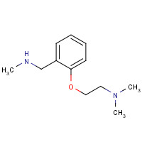 884507-33-9 N,N-dimethyl-2-[2-(methylaminomethyl)phenoxy]ethanamine chemical structure