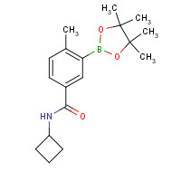 861905-20-6 N-cyclobutyl-4-methyl-3-(4,4,5,5-tetramethyl-1,3,2-dioxaborolan-2-yl)benzamide chemical structure