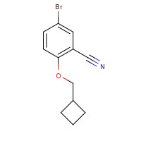 1419747-72-0 5-bromo-2-(cyclobutylmethoxy)benzonitrile chemical structure