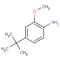 228401-14-7 4-tert-butyl-2-methoxyaniline chemical structure