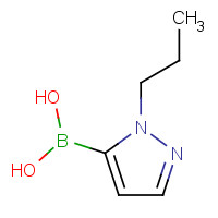 847818-65-9 (2-propylpyrazol-3-yl)boronic acid chemical structure
