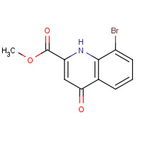 495407-02-8 methyl 8-bromo-4-oxo-1H-quinoline-2-carboxylate chemical structure