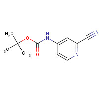 262295-94-3 tert-butyl N-(2-cyanopyridin-4-yl)carbamate chemical structure