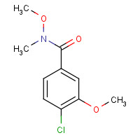 342435-00-1 4-chloro-N,3-dimethoxy-N-methylbenzamide chemical structure