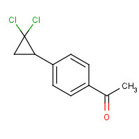 40641-93-8 1-[4-(2,2-dichlorocyclopropyl)phenyl]ethanone chemical structure