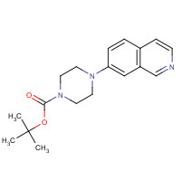 683243-31-4 tert-butyl 4-isoquinolin-7-ylpiperazine-1-carboxylate chemical structure