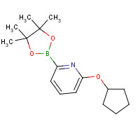 1193245-09-8 2-cyclopentyloxy-6-(4,4,5,5-tetramethyl-1,3,2-dioxaborolan-2-yl)pyridine chemical structure