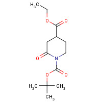 1313498-26-8 1-O-tert-butyl 4-O-ethyl 2-oxopiperidine-1,4-dicarboxylate chemical structure
