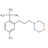 870220-71-6 4-tert-butyl-3-(3-morpholin-4-ylpropyl)aniline chemical structure