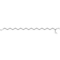 1560-81-2 2-methyldocosane chemical structure