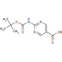 179322-60-2 2-[(2-methylpropan-2-yl)oxycarbonylamino]pyrimidine-5-carboxylic acid chemical structure