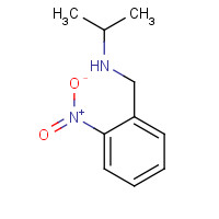 338991-54-1 N-[(2-nitrophenyl)methyl]propan-2-amine chemical structure
