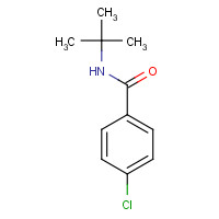 42498-40-8 N-tert-butyl-4-chlorobenzamide chemical structure