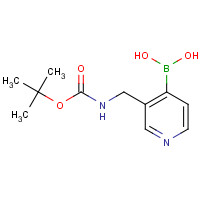 433969-29-0 [3-[[(2-methylpropan-2-yl)oxycarbonylamino]methyl]pyridin-4-yl]boronic acid chemical structure