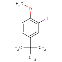 75060-39-8 4-tert-butyl-2-iodo-1-methoxybenzene chemical structure