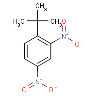 4160-54-7 1-tert-butyl-2,4-dinitrobenzene chemical structure