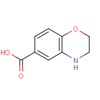 918789-44-3 3,4-dihydro-2H-1,4-benzoxazine-6-carboxylic acid chemical structure