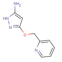 1451392-78-1 3-(pyridin-2-ylmethoxy)-1H-pyrazol-5-amine chemical structure