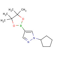 1233526-60-7 1-cyclopentyl-4-(4,4,5,5-tetramethyl-1,3,2-dioxaborolan-2-yl)pyrazole chemical structure