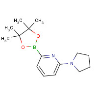 1401350-36-4 2-pyrrolidin-1-yl-6-(4,4,5,5-tetramethyl-1,3,2-dioxaborolan-2-yl)pyridine chemical structure